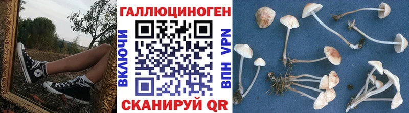 Галлюциногенные грибы MAGIC MUSHROOMS  купить   Ишим 